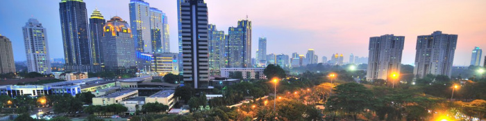 Jakarta Skyline: China, Indonesien, Vietnam, Thailand: eine neue Asienstrategie für deutsche Unternehmen.