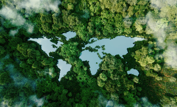 AUfnahme eines Waldes von oben. Im Wald sind Wasserflächen zu sehen. Von drauf geschaut ergeben sie die Umrisse der Kontinente bzw. die Weltkarte. 