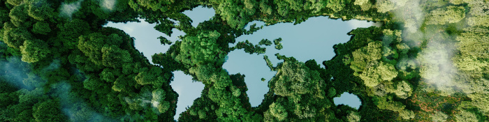 AUfnahme eines Waldes von oben. Im Wald sind Wasserflächen zu sehen. Von drauf geschaut ergeben sie die Umrisse der Kontinente bzw. die Weltkarte. 