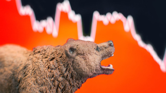Bär vor fallendem Aktienkurs