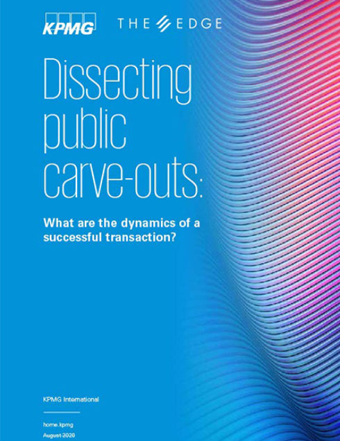 Dissecting public carve-outs