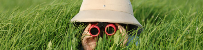 Digitalisierung: Eine Person mit hellem Hut liegt im Gras und blickt durch ein Fernglas.