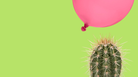 Rosa Luftballon über Kaktus.