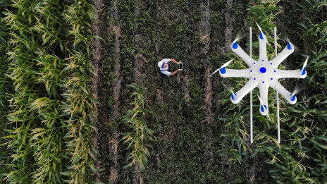 Eine Drohne fliegt über ein Feld. Der Steuermann steht auf dem Feld und dem Flug der Drohne zu. 