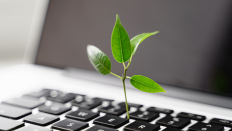 ESG: Laptop-Tastatur mit Pflanze darauf. 