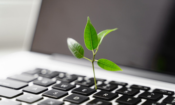 ESG: Laptop-Tastatur mit Pflanze darauf. 