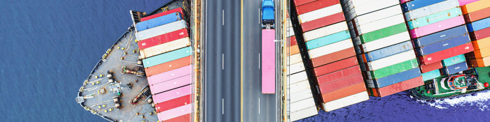 Ein Container-Frachtschiff fährt unter einer großen Brücke hindurch. Von oben ist ein LKW zu sehen, der über die Brücke fährt und die bunten Container auf dem Schiff. 
