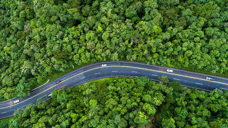 Eine Straße mit Autos, die durch Wälder und Natur führt.