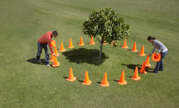 Eine Frau und ein Mann stellen orangenfarbene Warnhütchen um einen Baum, der auf einer Rasenfläche steht.