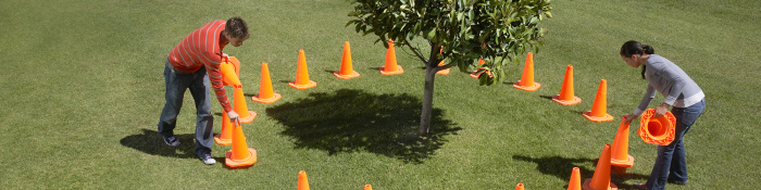 Eine Frau und ein Mann stellen orangenfarbene Warnhütchen um einen Baum, der auf einer Rasenfläche steht.