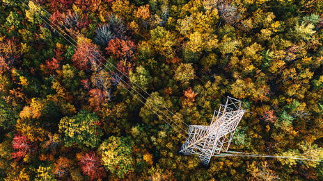 ESG: Blick von oben auf eine Hochspannungsleitung und Bäume im Herbst.