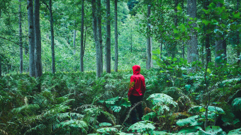 Mann mit roter Regenjacke steht im Wald