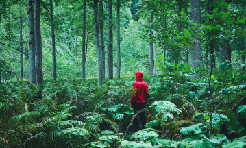 Mann mit roter Regenjacke steht im Wald