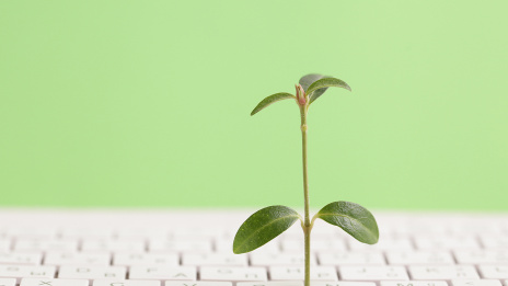 Zahlen und ESG: Eine grüne Pflanze wächst aus einer Tastatur. Eine grüne Pflanze wächst aus einer Tastatur.