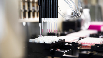 Pharma Labor: Wie die Branche ihre Vorreiterrolle bei generativer künstlicher Intelligenz behält 