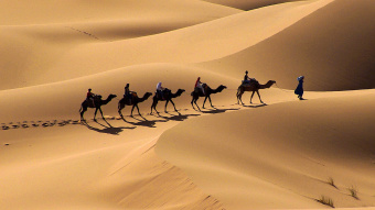 Leadership: Eine Person führt eine Gruppe berittener Kamele durch die Wüste.