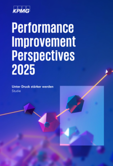 Performance Improvement Perspectives 2025