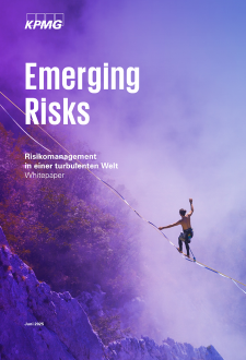 Emerging Risks