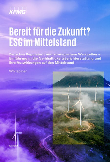 Wie der Mittelstand ESG strategisch nutzen kann