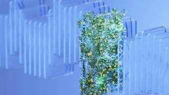 Abstrakte 3D-Darstellung: Zwischen transparenten, bläulichen Platten wächst ein dichter Bereich aus grünen Pflanzen mit gelben Blüten. Die Szene ist in kühles, blaues Licht getaucht und verbindet Technologie mit Natur.