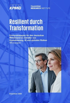 Performance und Resilienz steigern – Praxis-Insights, Erfolgsfaktoren, Handlungsempfehlungen