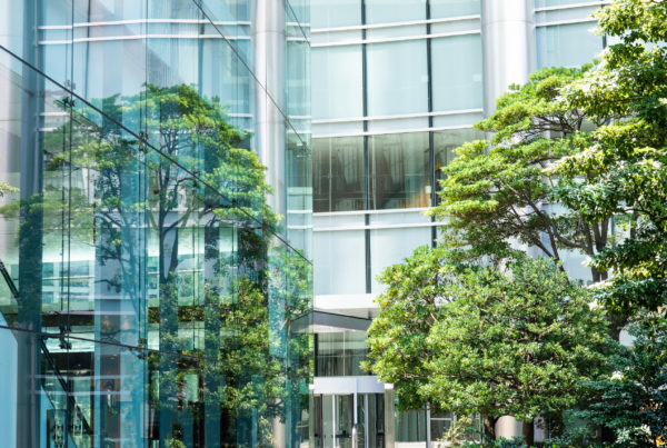 Bürogebäude mit Bäumen, ESG in der Finanzarchitektur verankern