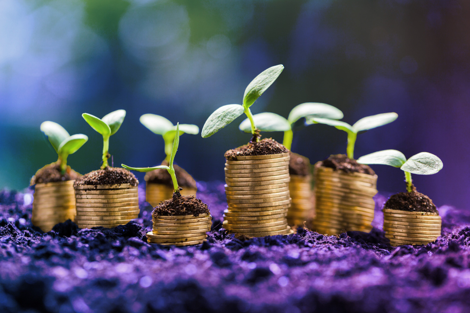 Pflanzen wachsen auf Geldmünzen, Nachhaltigkeit, Wandel zur Nachhaltigkeit: Bilanzierung von grünen Finanzinstrumenten