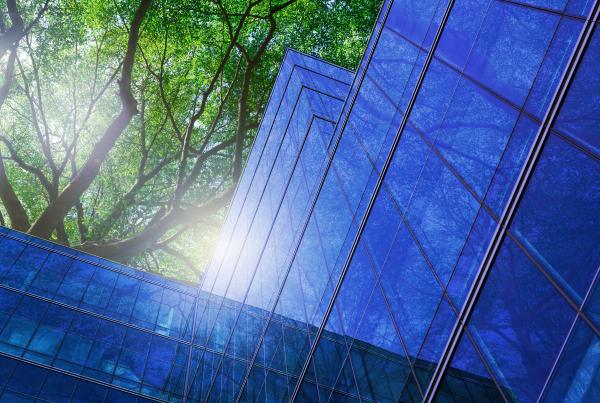 Grüner Baum thront über verglastem Gebäude, Nachhaltige Transformation: Finanzfunktion zum Business Partner machen