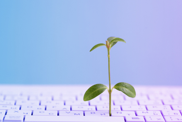 Pflanze wächst auf Tastatur, Green Coding bei Banken: Reduzierter Energieverbrauch durch grüne Software