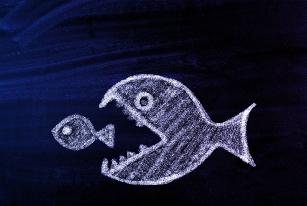 Großer Fisch isst kleinen Fisch, Symbolbild für: Verschwindet der Maklermarkt, wie wir ihn kennen?