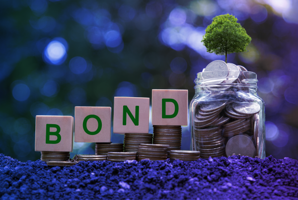 Bond Bausteine, Symbolbild für: EU-Green Bonds: Grün investieren soll leichter werden