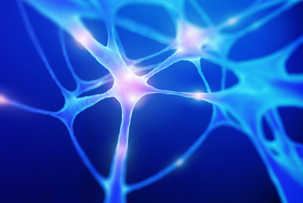 Bild von neuronalen Synapsen, denn IAM und PAM sind das Nervensystem für Sicherheit, Effizienz und für die Einhaltung gesetzlicher Vorgaben im Bereich Cybersicherheit